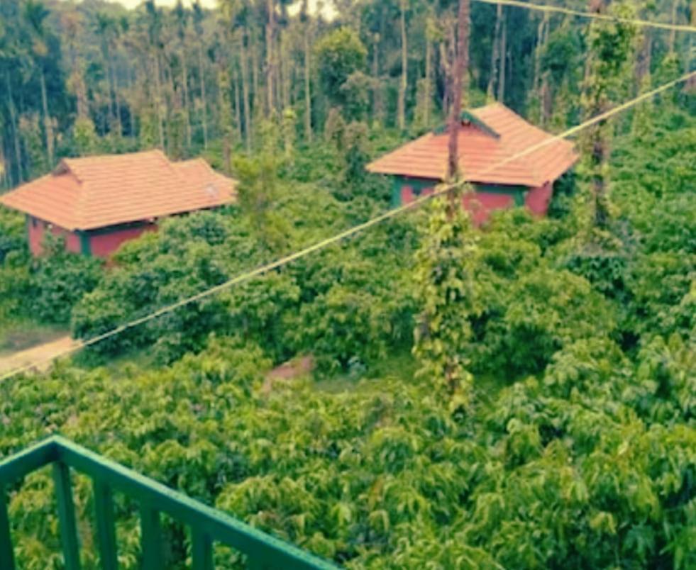 Agastya Lake View Coorg Madikeri Zewnętrze zdjęcie