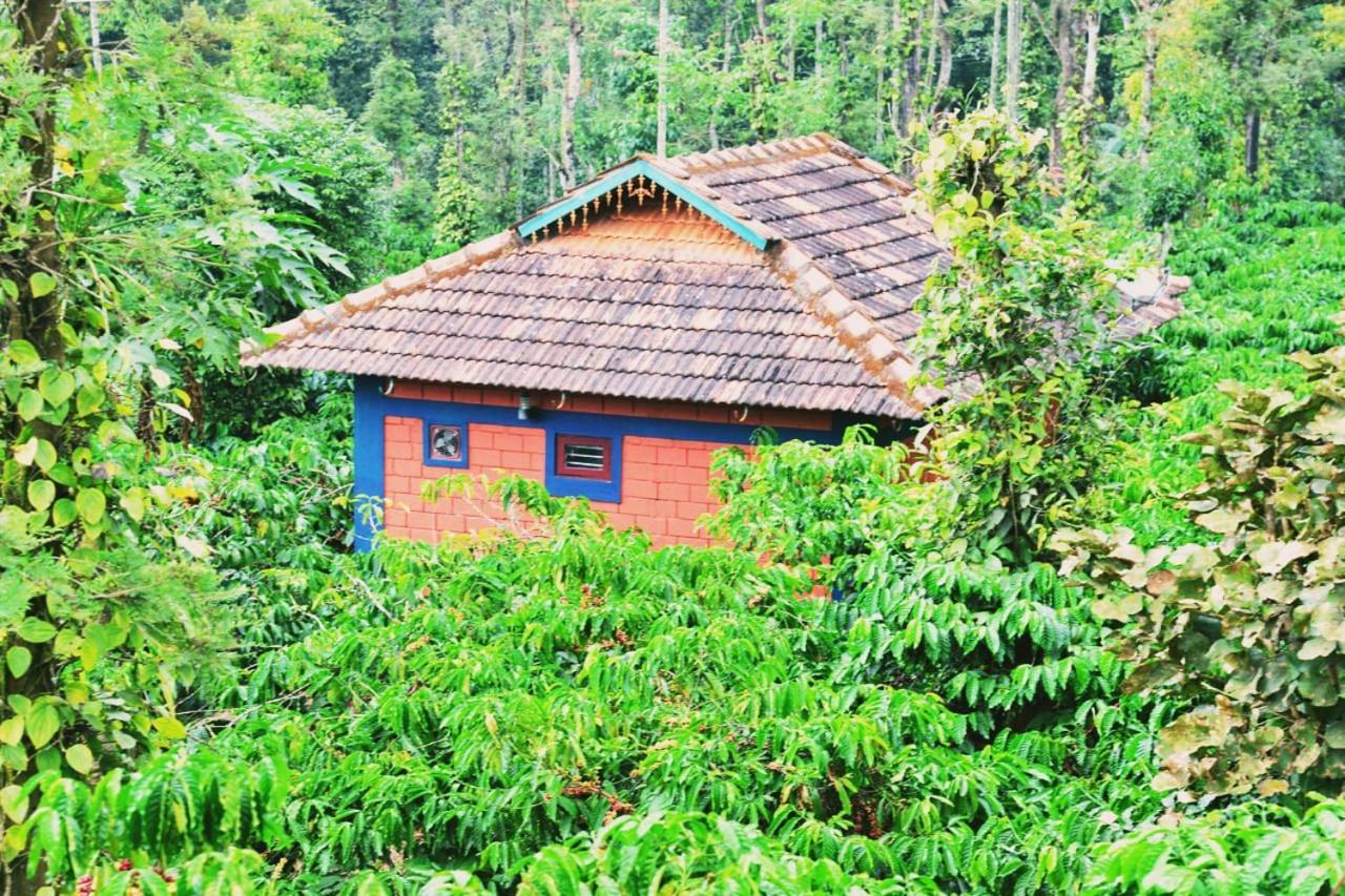Agastya Lake View Coorg Madikeri Zewnętrze zdjęcie